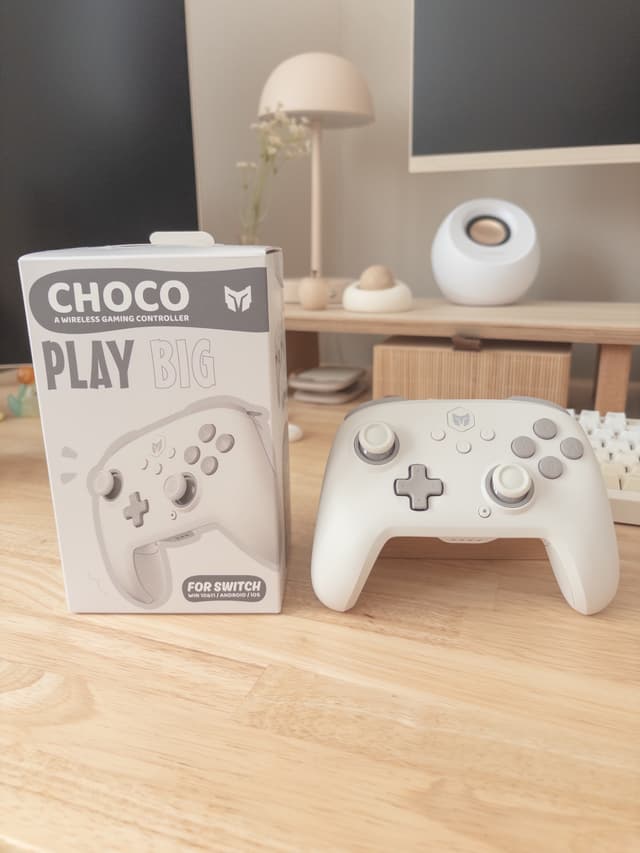 BIGBIGWON CHOCO コントローラー